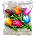 Typisch Hollands Voordeelverpakking -  Tulpen magneten (6stuks)