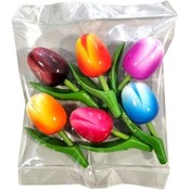 Typisch Hollands Discount package - Tulip magnets (6 pieces)