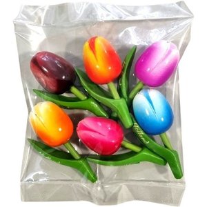 Typisch Hollands Rabattpaket - Tulpenmagnete (6 Stück)