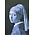 Typisch Hollands Double greeting card - Holland - Girl with a Pearl Earring