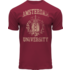 Holland fashion T-Shirt - Bordeaux Amsterdam - University
