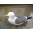 Typisch Hollands Seagull 20 cm floating