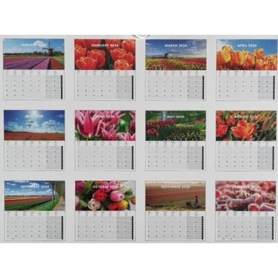 Typisch Hollands Holland wall calendar 2024