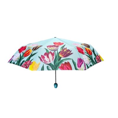 Typisch Hollands Luxus-Regenschirm grün in Aufbewahrungstasche