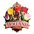 Typisch Hollands Magneet Holland - Tulpen - Roze (pretty tulips)