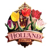 Typisch Hollands Magneet Holland - Tulpen - Roze (pretty tulips)
