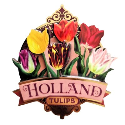 Typisch Hollands Magnet Holland - Tulips - Pink (pretty tulips)