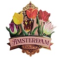 Typisch Hollands Magnet Amsterdam - Tulpen - rosa (hübsche Tulpen)