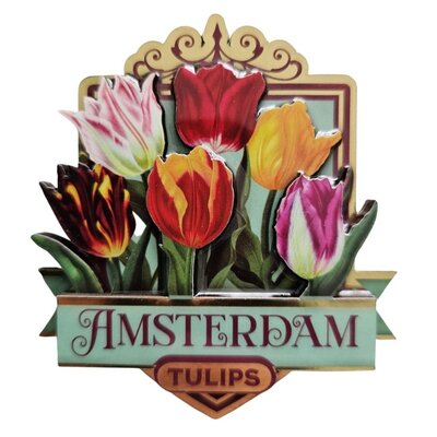 Typisch Hollands Magnet Amsterdam - Tulpen - grün (hübsche Tulpen)
