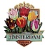Typisch Hollands Magneet Amsterdam - Tulpen - groen (pretty tulips)