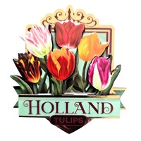 Typisch Hollands Magnet Holland - Tulips - green (pretty tulips)