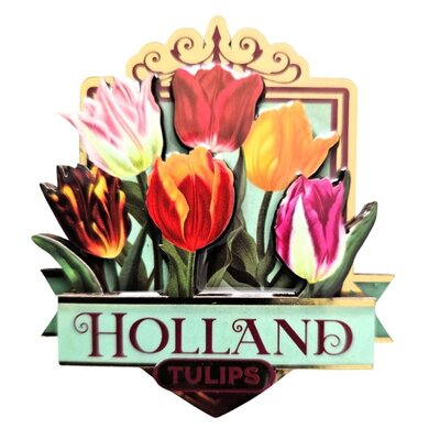 Typisch Hollands Magneet Holland - Tulpen - groen (pretty tulips)