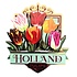 Matix Magnet Holland - Tulips - green (pretty tulips)