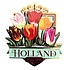 Typisch Hollands Magneet Holland - Tulpen - groen (pretty tulips)