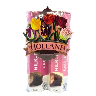 Droste Droste - gift pack - Large Tulip magnet (green) - Copy