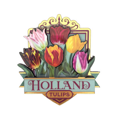 Typisch Hollands Magneet Holland - Tulpen - groen (pretty tulips)