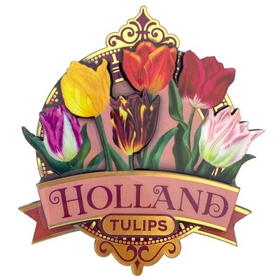 Typisch Hollands Magneet Holland - Tulpen - Roze (pretty tulips)