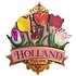 Typisch Hollands Magneet Holland - Tulpen - Roze (pretty tulips)