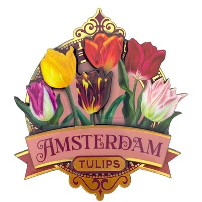 Typisch Hollands Magnet Amsterdam - Tulpen - rosa (hübsche Tulpen)