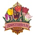 Typisch Hollands Magneet Amsterdam - Tulpen - roze (pretty tulips)