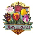 Typisch Hollands Magnet Amsterdam - Tulips - green (pretty tulips)