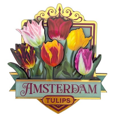 Matix Magneet Amsterdam - Tulpen - groen (pretty tulips)