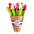 Typisch Hollands Wooden tulips (20cm) in a mixed bouquet. - Colorful colors