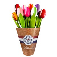 Typisch Hollands Wooden Tulips (20cm) in MIX bouquet. - Bright colours