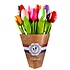 Typisch Hollands Houten Tulpen (20cm)in MIX boeket.  - Bonte kleuren