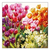 Typisch Hollands Holland napkins with Tulips in mixed field