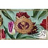 Typisch Hollands Stroopwafels in  Stijlvol blik met Tulpendecoratie - Folie , lint en bijpassend kaartje
