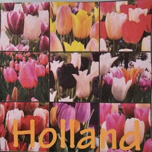 Typisch Hollands Holland servetten met  Tulpenafbeeldingen