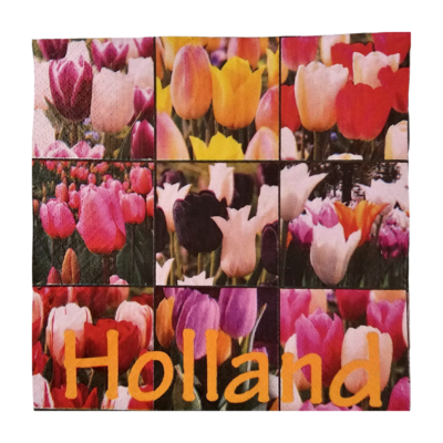 Typisch Hollands Holland napkins with Tulips in mixed field - Copy
