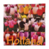 Typisch Hollands Holland servetten met  Tulpenafbeeldingen