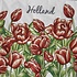 TTD Gifts Holland napkins with red Tulips