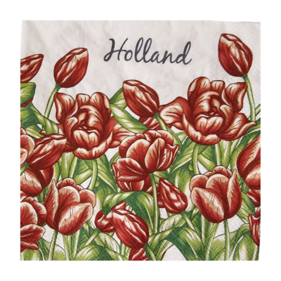 TTD Gifts Holland napkins with red Tulips
