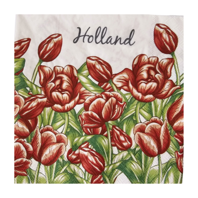 Typisch Hollands Holland napkins with red Tulips