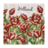 TTD Gifts Holland napkins with red Tulips