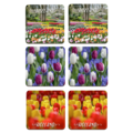 Typisch Hollands Coasters - Tulips - Holland -3 assorted - Keukenhof