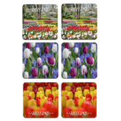 Typisch Hollands Coasters - Tulips - Holland -3 assorted - Keukenhof