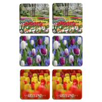 Typisch Hollands Coasters - Tulips - Holland -3 assorted - Keukenhof