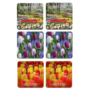 Typisch Hollands Coasters - Tulips - Holland -3 assorted - Keukenhof