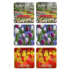 Typisch Hollands Coasters - Tulips - Holland -3 assorted - Keukenhof