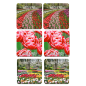 Typisch Hollands Coasters - Tulips - Holland - 3 assorted - Keukenhof