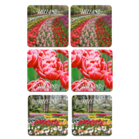 Typisch Hollands Coasters - Tulips - Holland - 3 assorted - Keukenhof