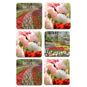 Typisch Hollands Coasters - Tulips - Holland -3 assorted - Keukenhof