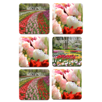 Typisch Hollands Coasters - Tulips - Holland -3 assorted - Keukenhof