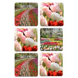 Typisch Hollands Untersetzer - Tulpen - Holland -3 sortiert - Keukenhof