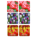 Typisch Hollands Coasters - Tulips - Holland - 2 assorted Holland