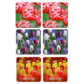 Typisch Hollands Onderzetters - Tulpen - Holland - 2 assorti Holland